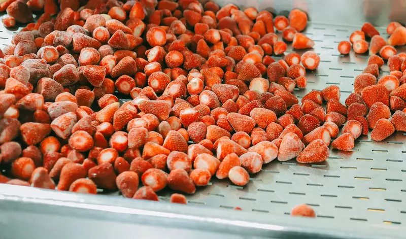 Frozen strawberries spread across a stainless-steel tray after quick freezing