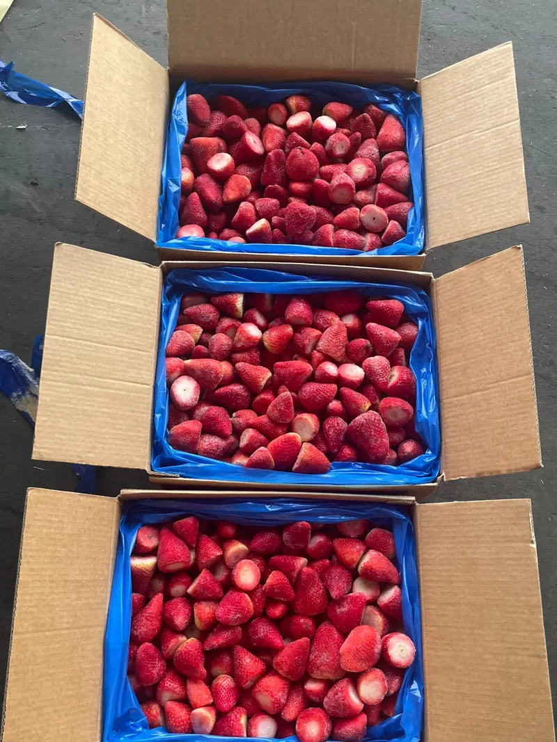 Open export cartons filled with frozen strawberries in blue liners